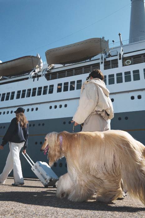 10DAYS FW25 DROP 8 CAMPAIGN 00014