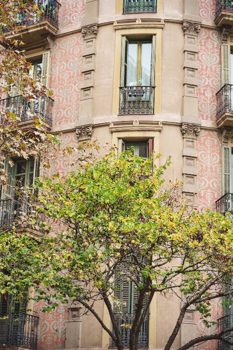 ESQUALO FW25 FALL 00080