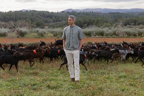 SAINT STEVE FW25 00025