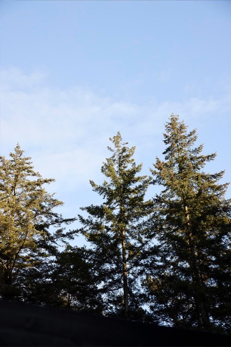 TRAMONTANA FW25 FALL 00085